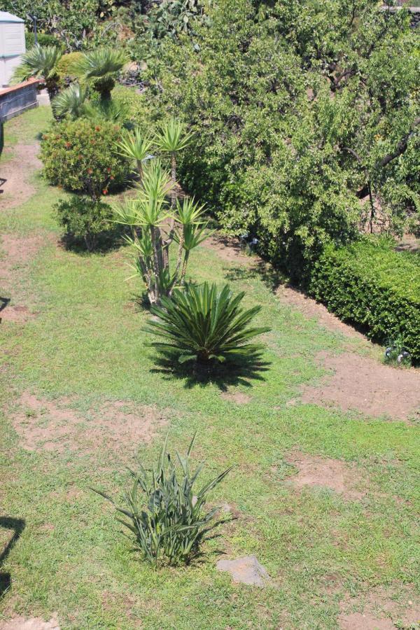 Villa Sicilia Apartment Katanya Dış mekan fotoğraf