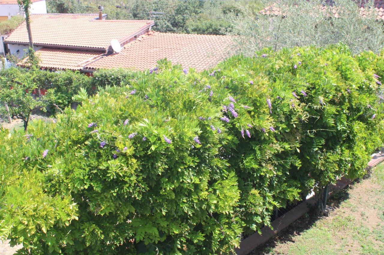 Villa Sicilia Apartment Katanya Dış mekan fotoğraf